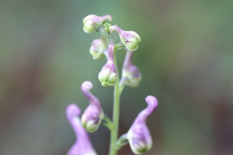 0912-4.jpg
