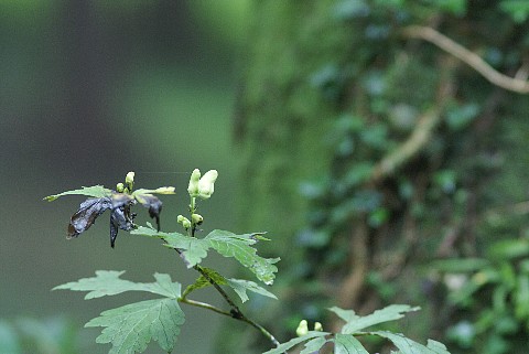 0912-5.jpg