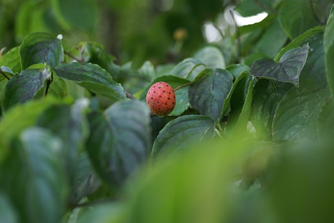 0913-5.jpg