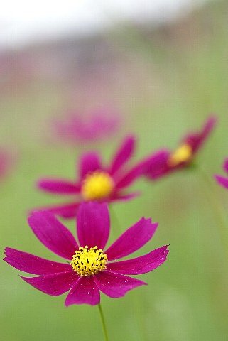 0915-9.jpg