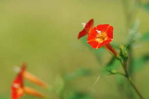 0915-7.jpg