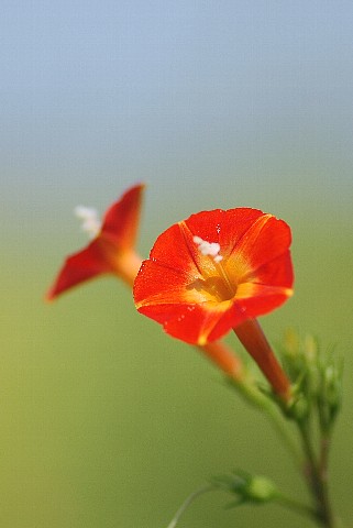 0915-5.jpg
