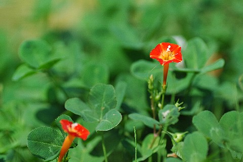 0915-6.jpg