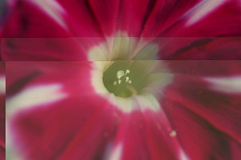0915-8.jpg