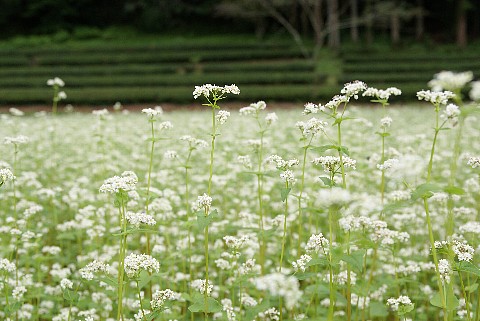 0917-1.jpg