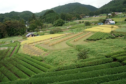 0917-2.jpg