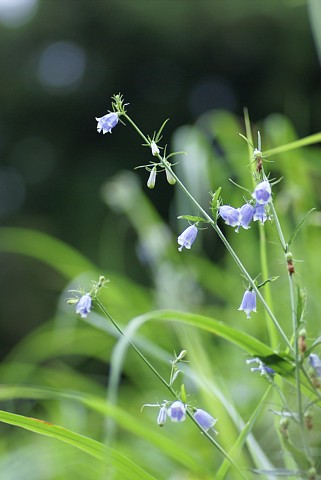 0917-6.jpg