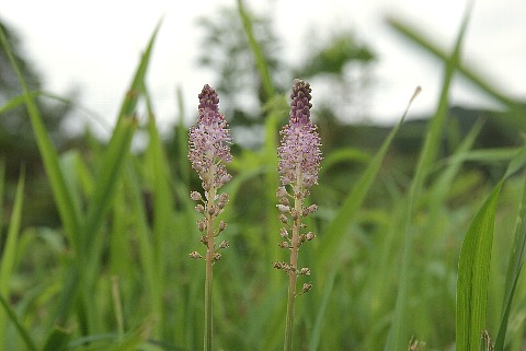 0917-7.jpg