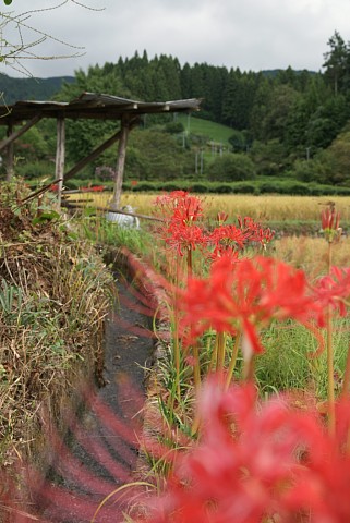 0918-3.jpg
