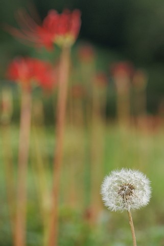 0918-5.jpg