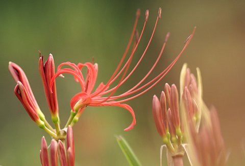 0918-4.jpg