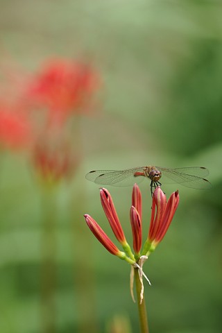 0919-2.jpg