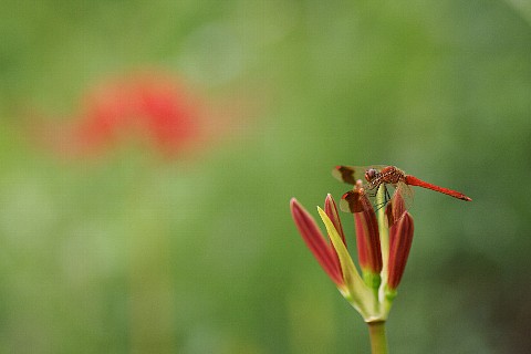0919-3.jpg