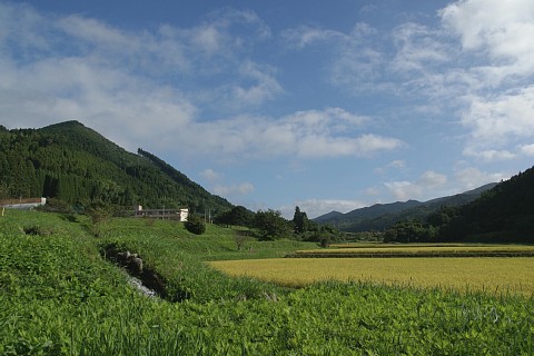 0919-5.jpg