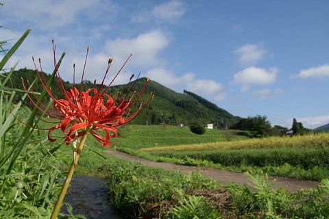 0919-7.jpg