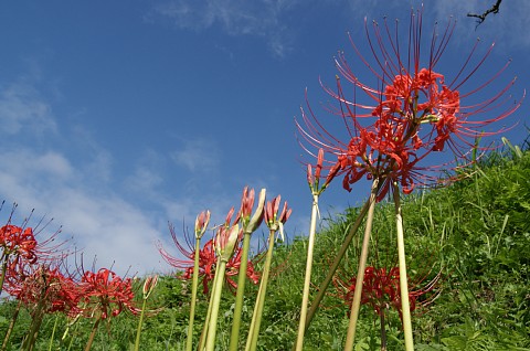 0919-6.jpg