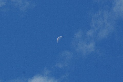 0922-2.jpg