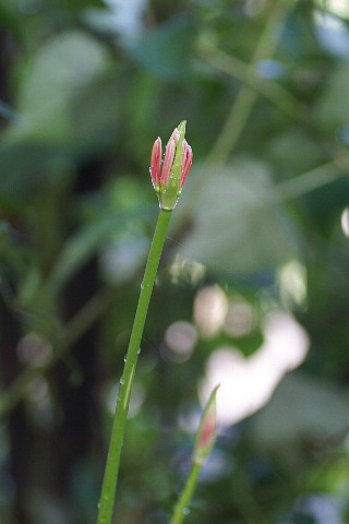 0922-6.jpg