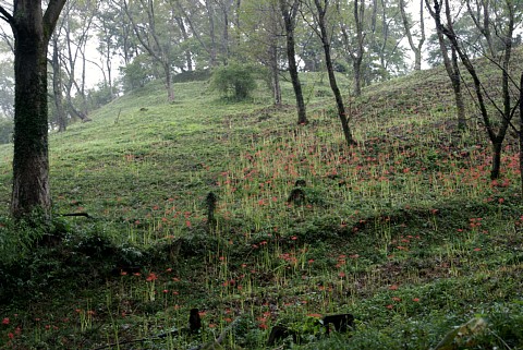 0923-1.jpg