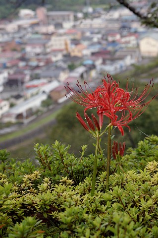 0923-6.jpg