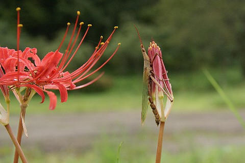 0924-6.jpg