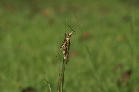 0924-4.jpg