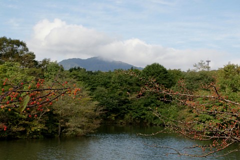 0925-2.jpg