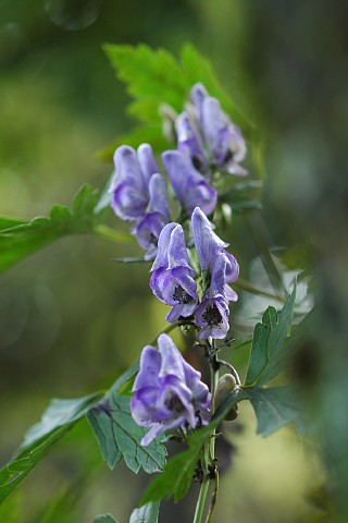 0926-4.jpg