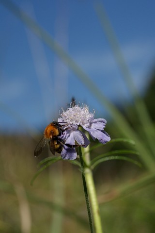 0926-7.jpg