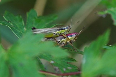 0927-3.jpg