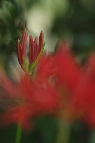 0927-5.jpg