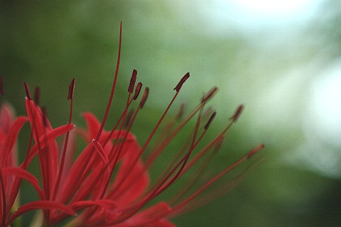 0927-6.jpg