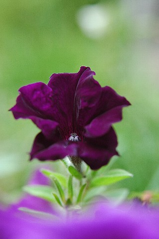 0930-6.jpg