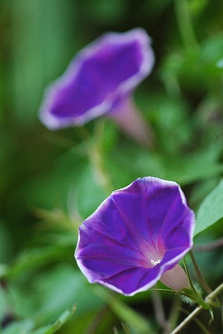 0930-7.jpg