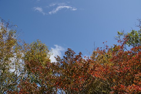 1001-4.jpg