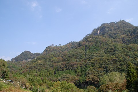 1010-2.jpg