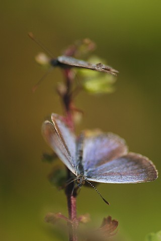 1013-2.jpg