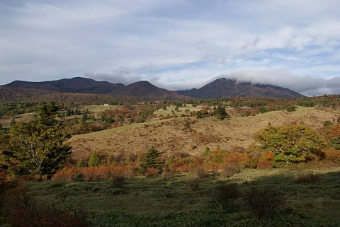 1018-7.jpg
