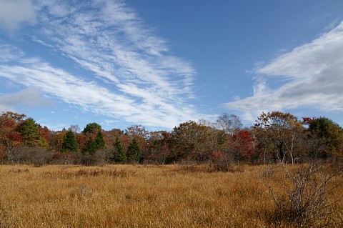 1018-5.jpg