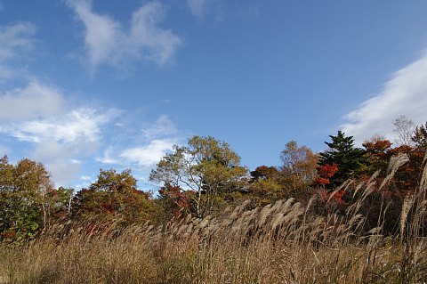 1019-13.jpg
