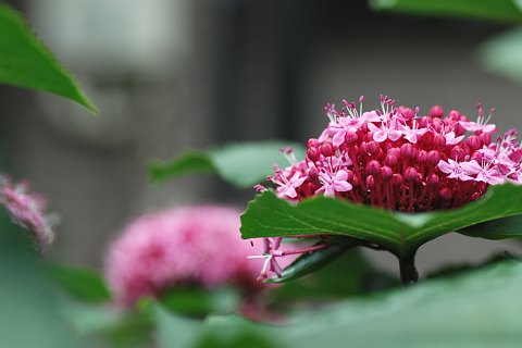 1023-2.jpg
