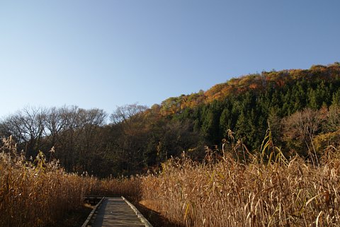 1029-2.jpg