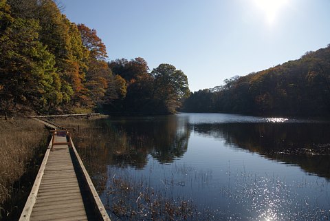 1029-3.jpg