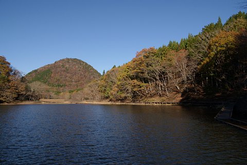 1029-5.jpg