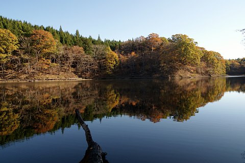 1029-6.jpg