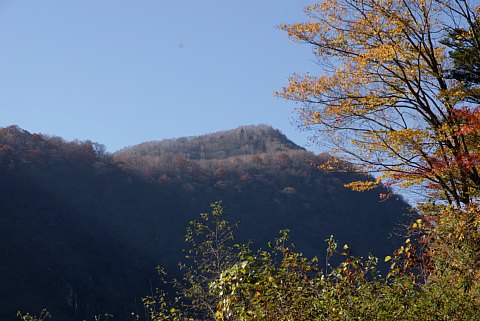 1031-2.jpg