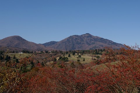 1031-4.jpg