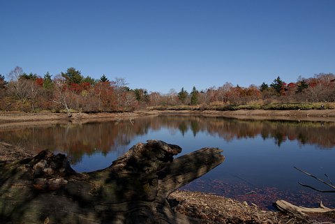 1031-5.jpg