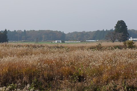 1108-2.jpg