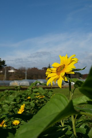 1109-2.jpg